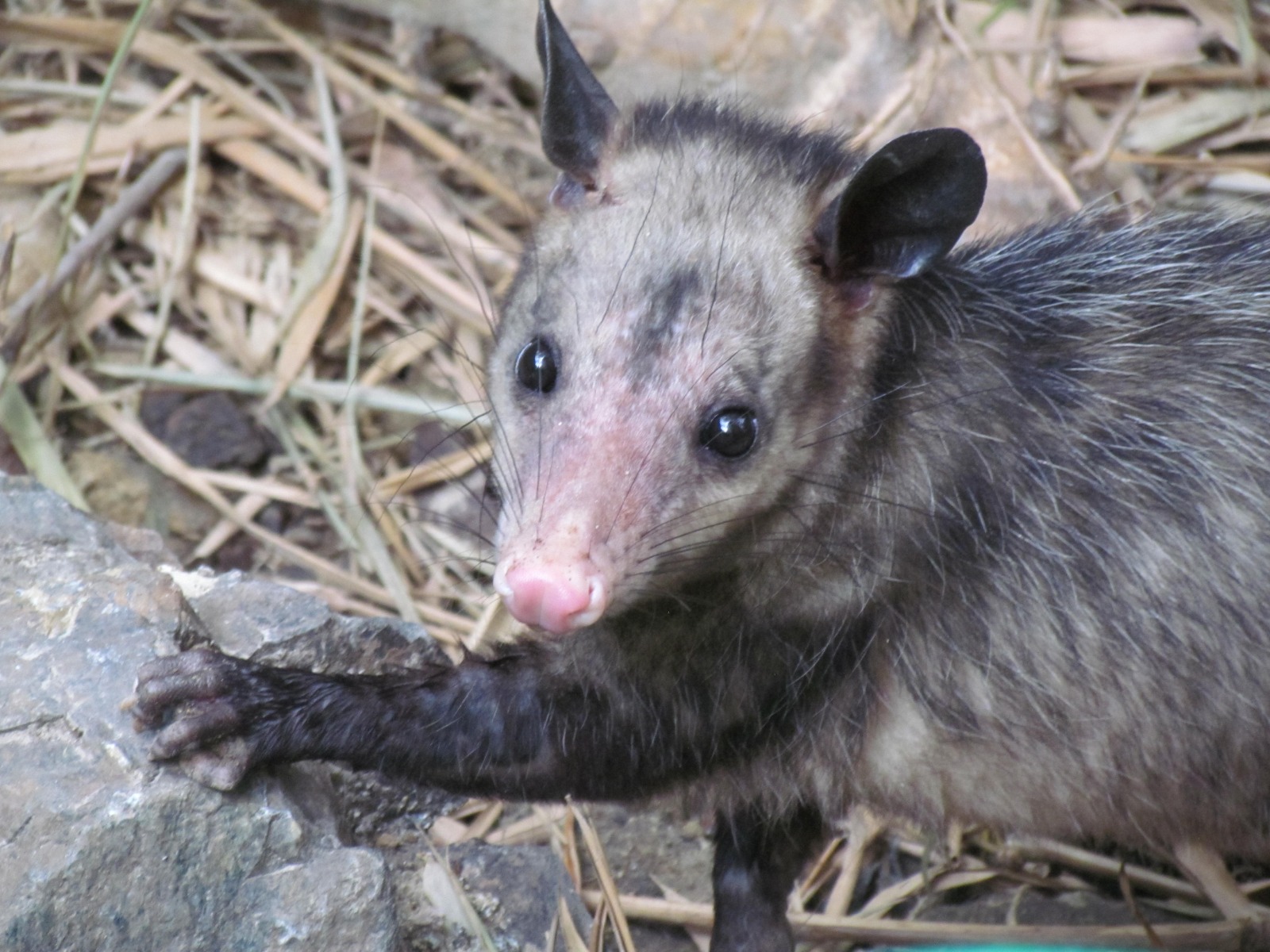 WhatsApp Image 2024-06-26 at 9.38.12 AM - copia